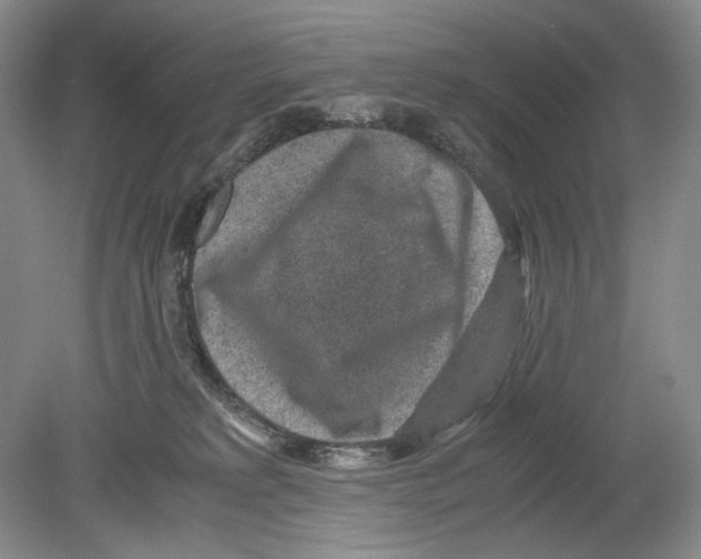 X0000078880229200612111747