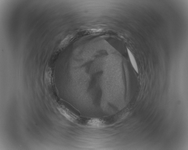 X0000078880231200612111747