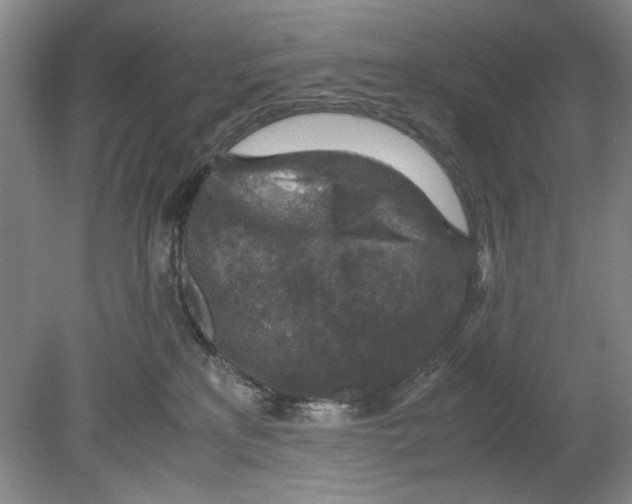 X0000078880233200612111747