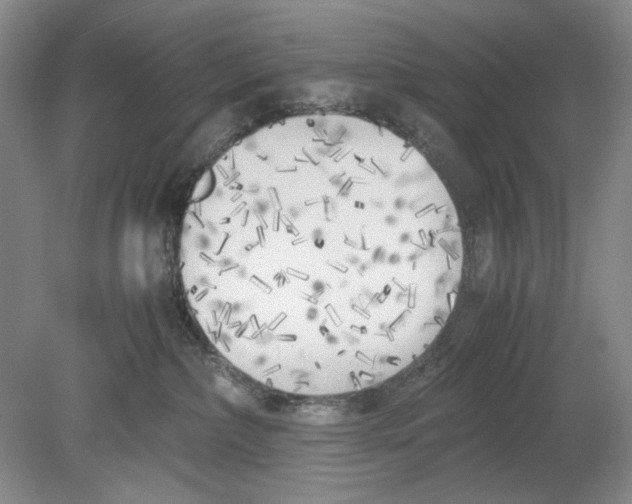 X0000078880236200612111747