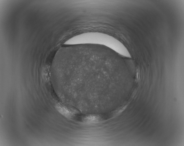 X0000078880237200612111747