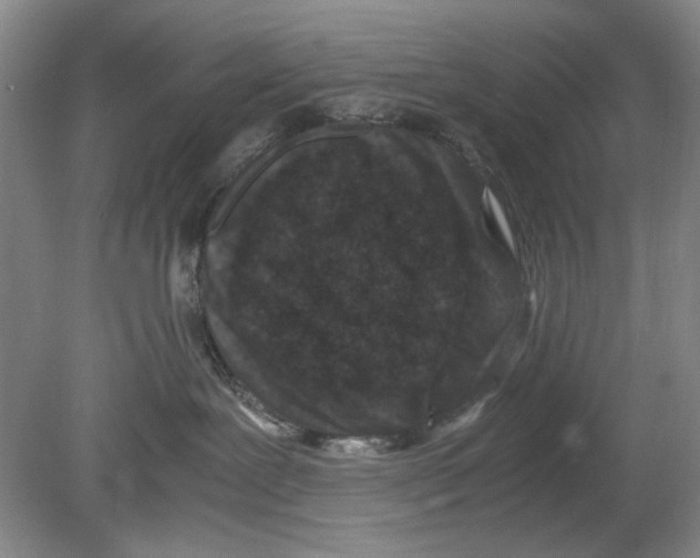 X0000078880239200612111747