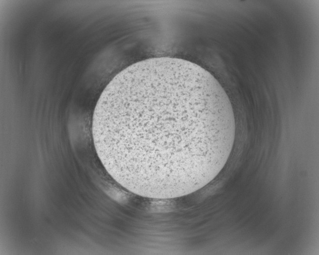 X0000078880240200612111747