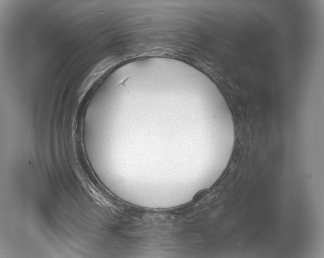 X0000078880242200612111746