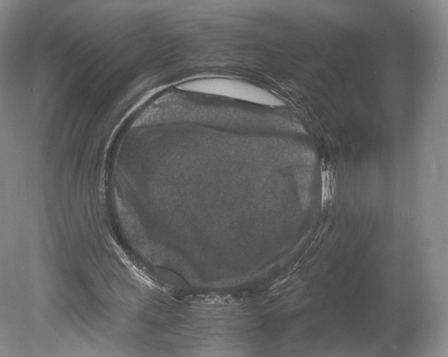 X0000078880243200612111746