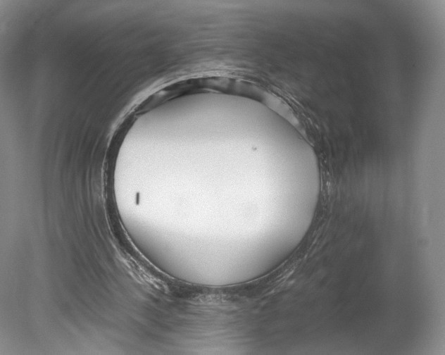 X0000078880244200612111746