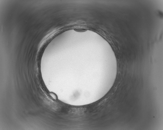 X0000078880245200612111747