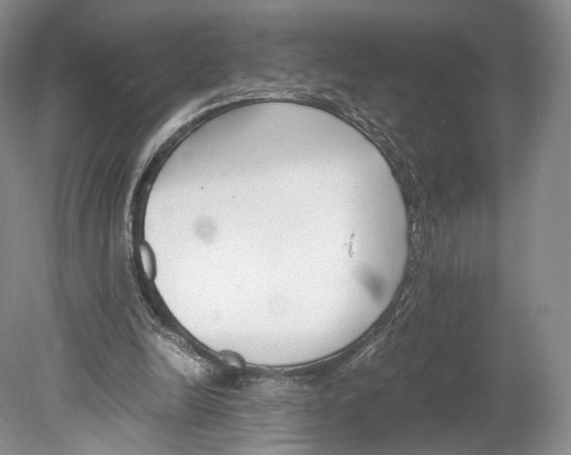 X0000078880246200612111747