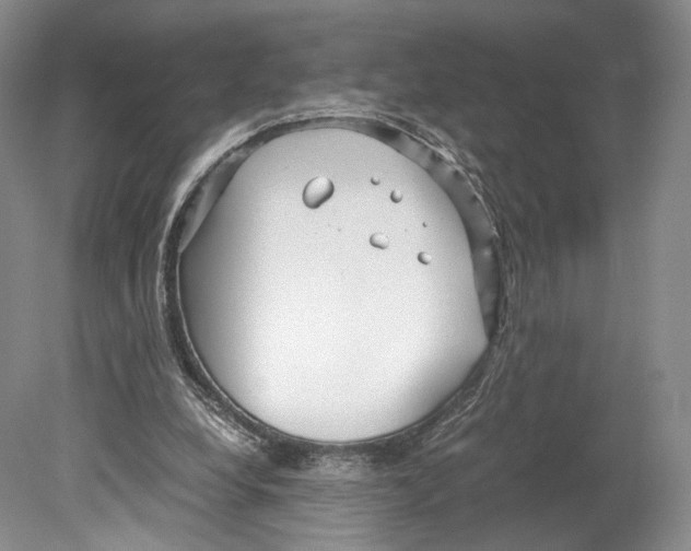 X0000078880248200612111747