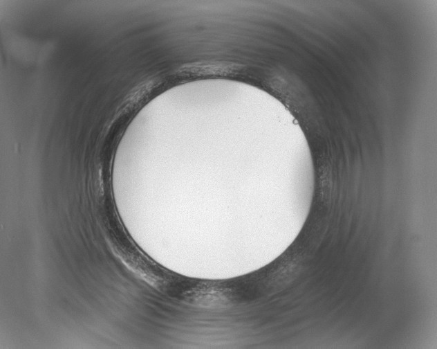 X0000078880254200612111747