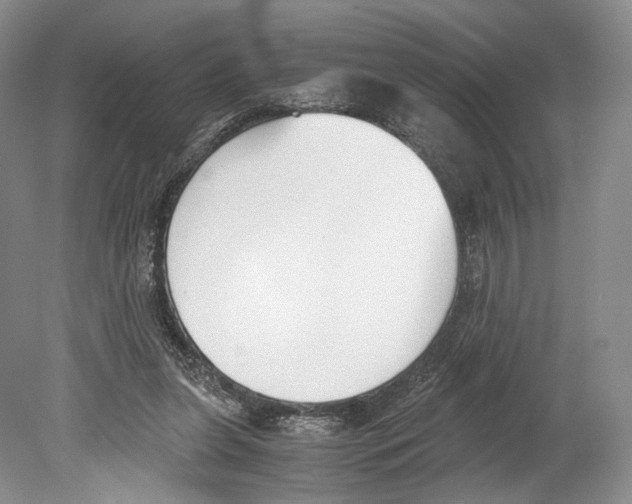 X0000078880255200612111747