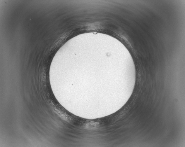 X0000078880257200612111747