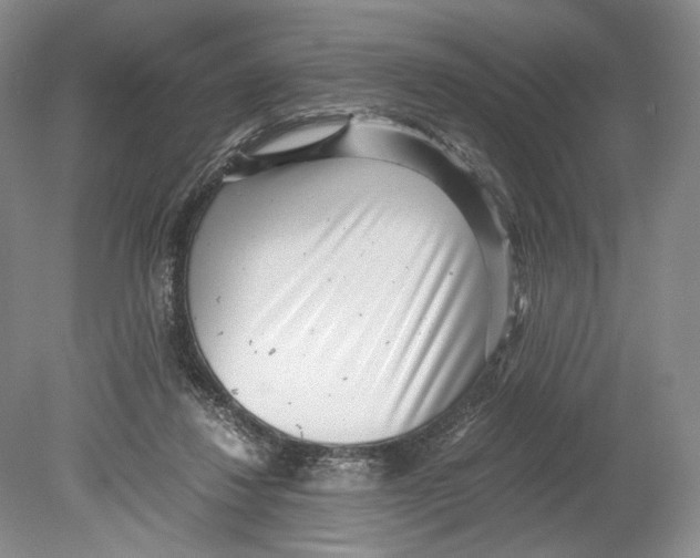 X0000078880260200612111747