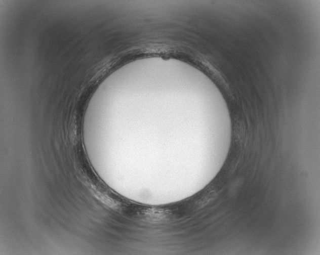 X0000078880261200612111747