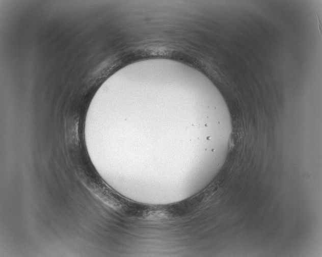 X0000078880262200612111747