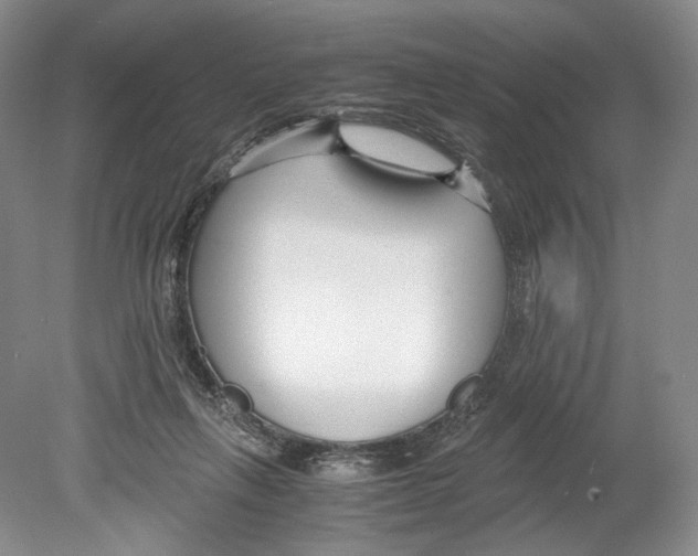 X0000078880263200612111747