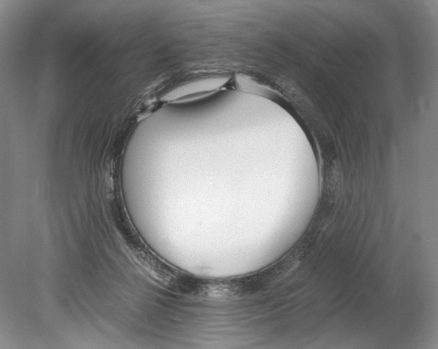 X0000078880264200612111747