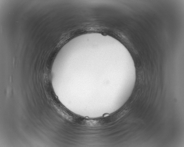 X0000078880265200612111747