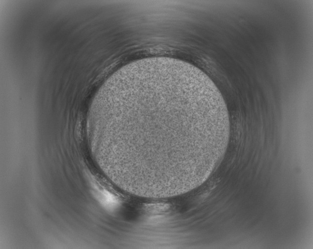 X0000078880266200612111747