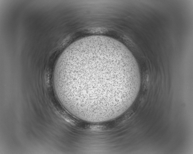 X0000078880268200612111747