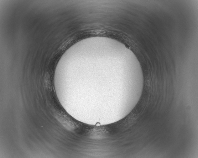 X0000078880270200612111747