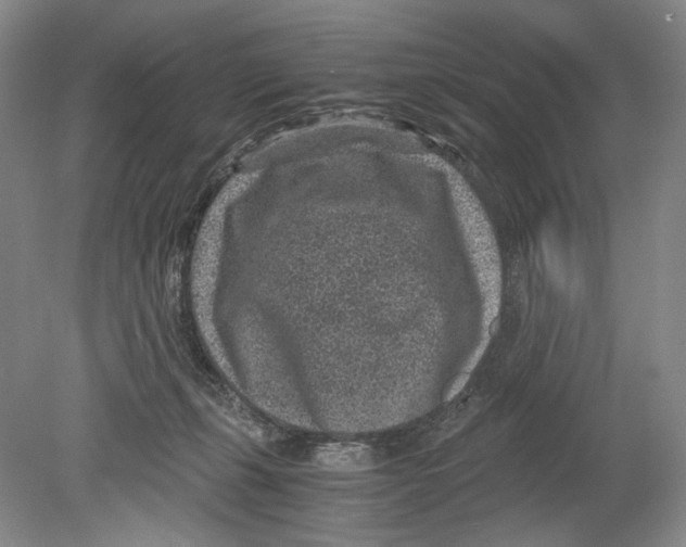 X0000078880271200612111747