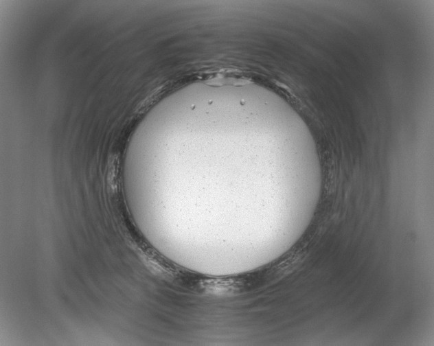 X0000078880273200612111747