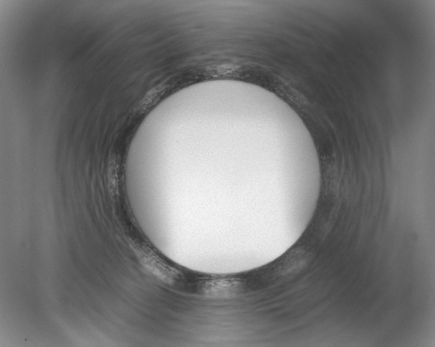 X0000078880274200612111747