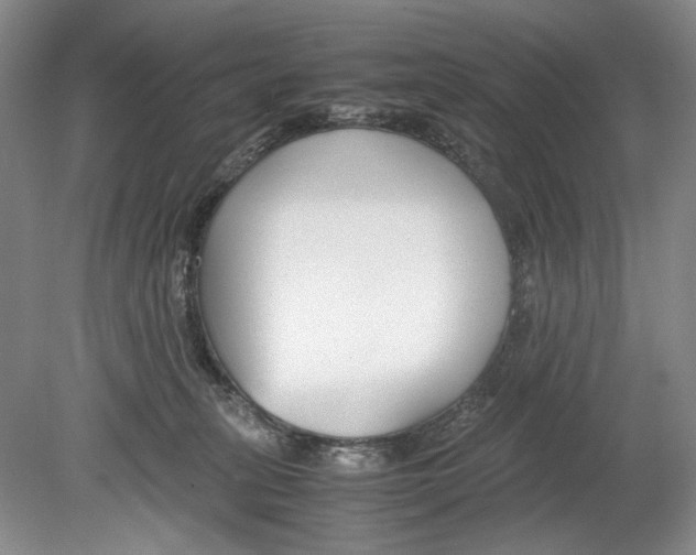 X0000078880275200612111747