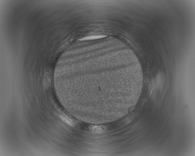 X0000078880277200612111747