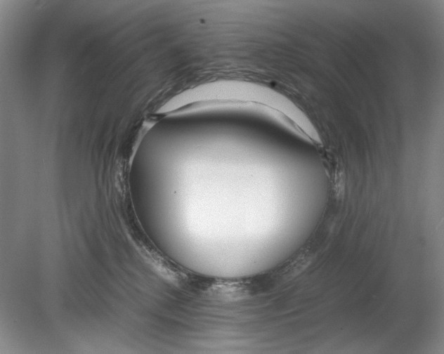 X0000078880280200612111747