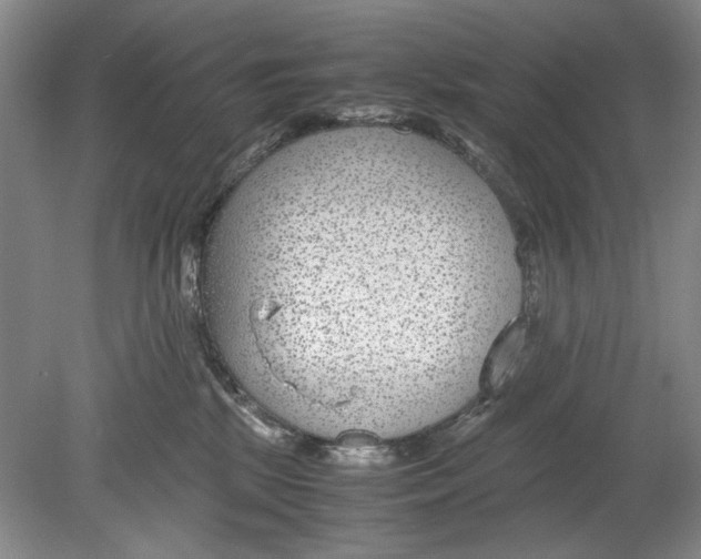 X0000078880281200612111747