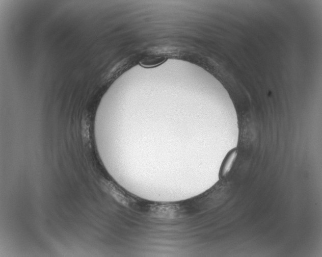 X0000078880282200612111747