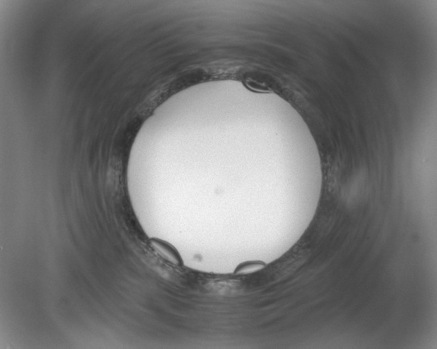 X0000078880283200612111747