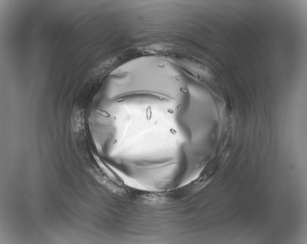 X0000078880284200612111747