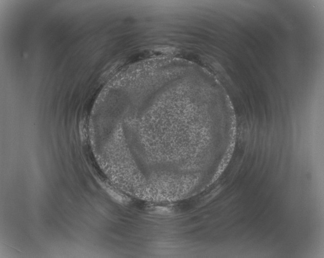 X0000078880285200612111747