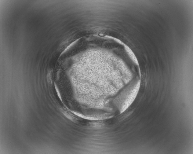 X0000078880286200612111747