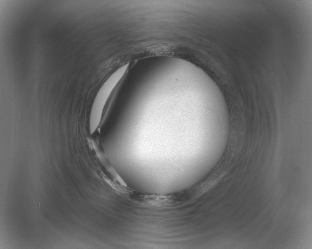 X0000078880288200612111747