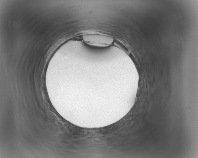 X0000078880289200612111746