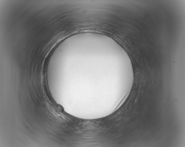 X0000078880290200612111746