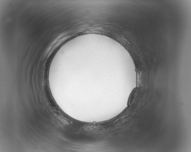 X0000078880291200612111746