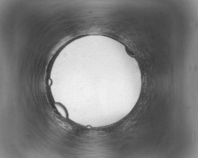 X0000078880292200612111746