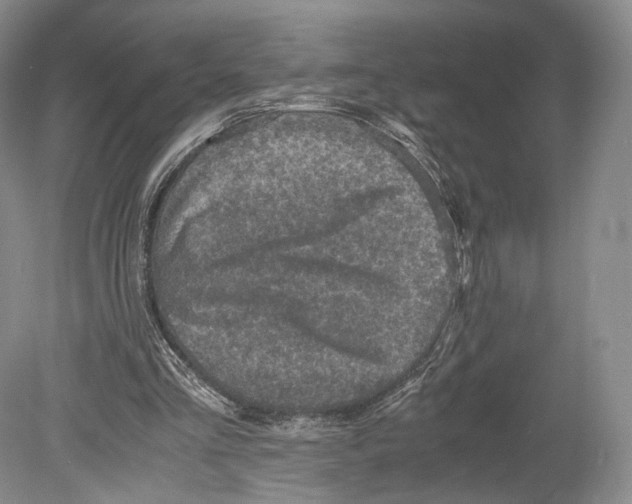 X0000078880293200612111746