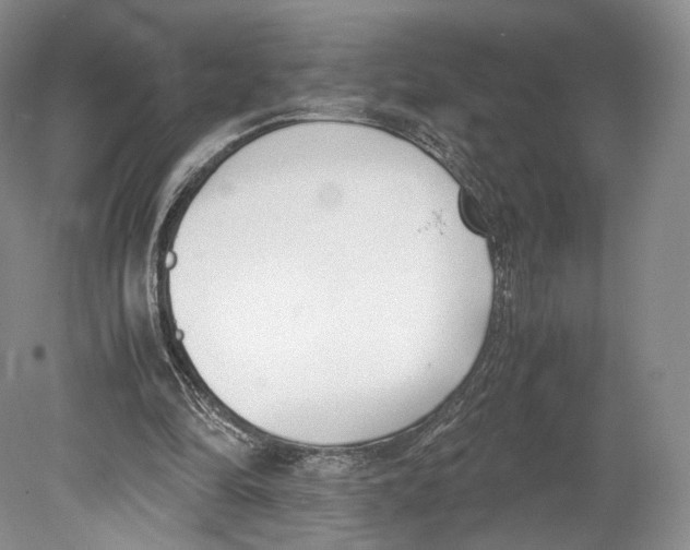 X0000078880294200612111746