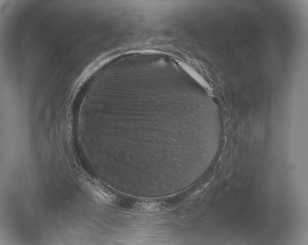 X0000078880295200612111746