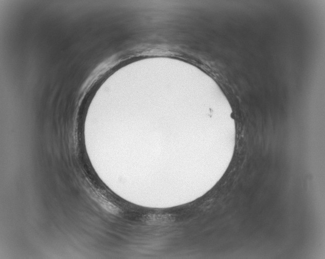 X0000078880296200612111746