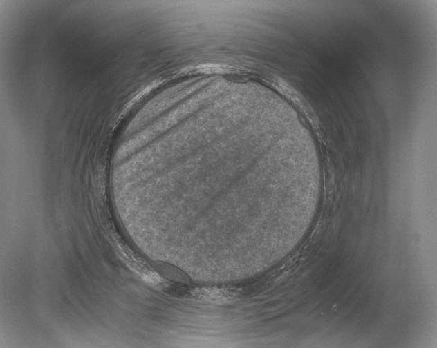 X0000078880297200612111746