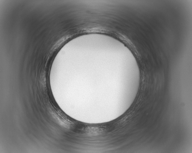 X0000078880298200612111746