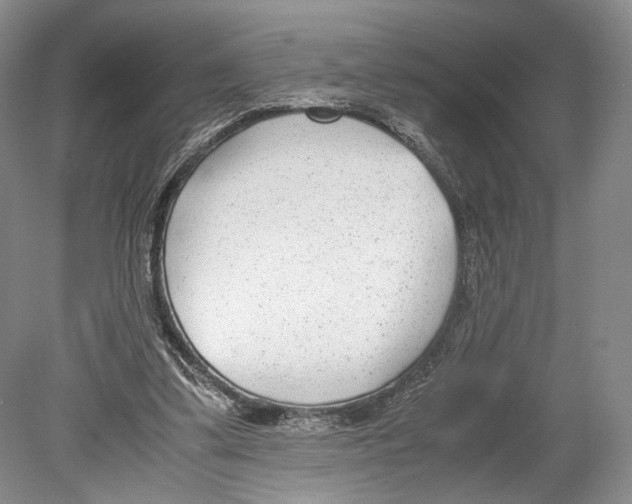 X0000078880299200612111746