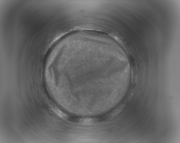 X0000078880301200612111746